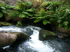 DSCN2423 DSCN2423