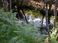 DSCN2384 DSCN2384