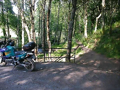 DSCN2387 DSCN2387
