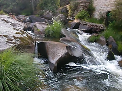 DSCN2418 DSCN2418