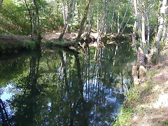 DSCN2380 DSCN2380