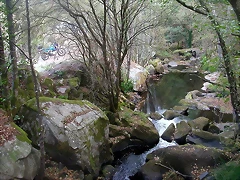 DSCN7487 DSCN7487