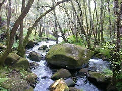 DSCN2434 DSCN2434