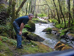DSCN2437 DSCN2437