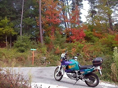 DSCN7485 DSCN7485
