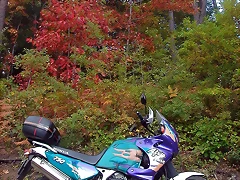 DSCN7486 DSCN7486