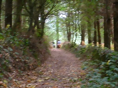 DSCN7499 DSCN7499