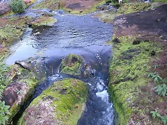 DSCN7838 DSCN7838