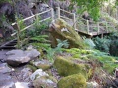 DSCN2429 DSCN2429