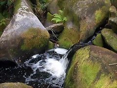 DSCN7478 DSCN7478