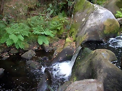 DSCN7479 DSCN7479