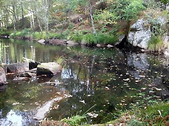 DSCN7484 DSCN7484