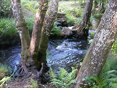 DSCN2367 DSCN2367