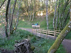 DSCN2463 DSCN2463