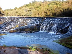 DSCN7836 DSCN7836