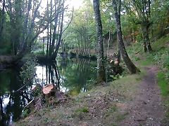 DSCN2485 DSCN2485