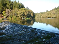 DSCN7833 DSCN7833