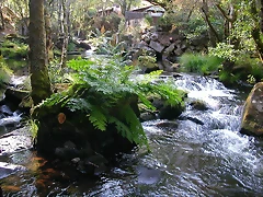 DSCN2404 DSCN2404
