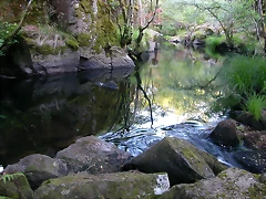 DSCN2452 DSCN2452