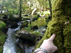 DSCN2403 DSCN2403