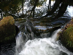 DSCN2444 DSCN2444