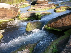 DSCN7841 DSCN7841