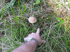 DSCN2393 DSCN2393
