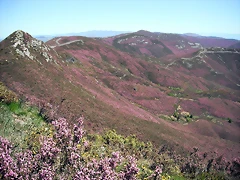 DSCF2574 DSCF2574