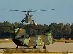 sh3ychinook