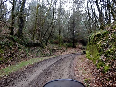DSCN3012 DSCN3012