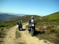 IMG_0509 IMG_0509
