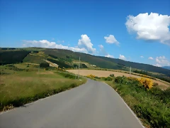 DSCN2373 DSCN2373