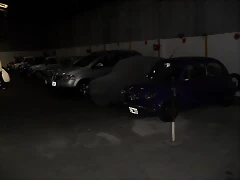 SDC14008 SDC14008