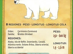 oso polar