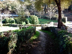 DSCN1074 DSCN1074