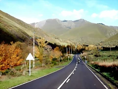 DSCN1319 DSCN1319