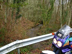 DSCN5619 DSCN5619