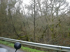 DSCN5632 DSCN5632