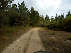 DSCN6918 DSCN6918