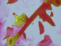 6FBDB46C-1E05-45F0-B135-97E5B6AF5E74 6FBDB46C-1E05-45F0-B135-97E5B6AF5E74