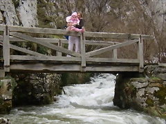 P2280377 P2280377