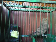 IMAG0726 IMAG0726
