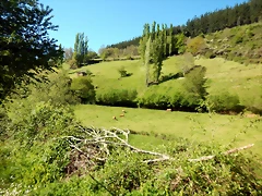 DSCN0081 DSCN0081