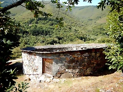 DSCN7017 DSCN7017