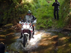 DSCN6891 DSCN6891