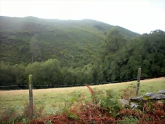 DSCN8376 DSCN8376
