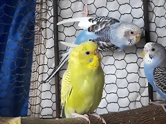 20180202_162918