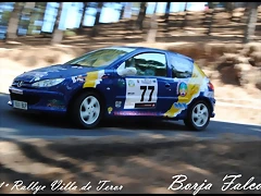 rallye teror ´11 311 rallye teror ´11 311