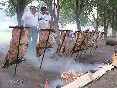 costillar c