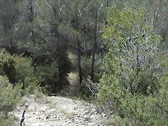 Olocau 11 Olocau 11